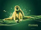monkeyman114s Avatar