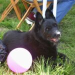 LOFD-Treffen-2008-26
